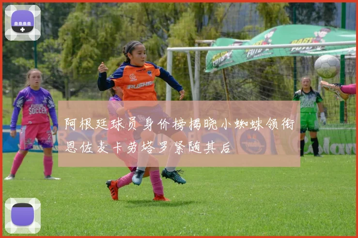 阿根廷球员身价榜揭晓小蜘蛛领衔恩佐麦卡劳塔罗紧随其后